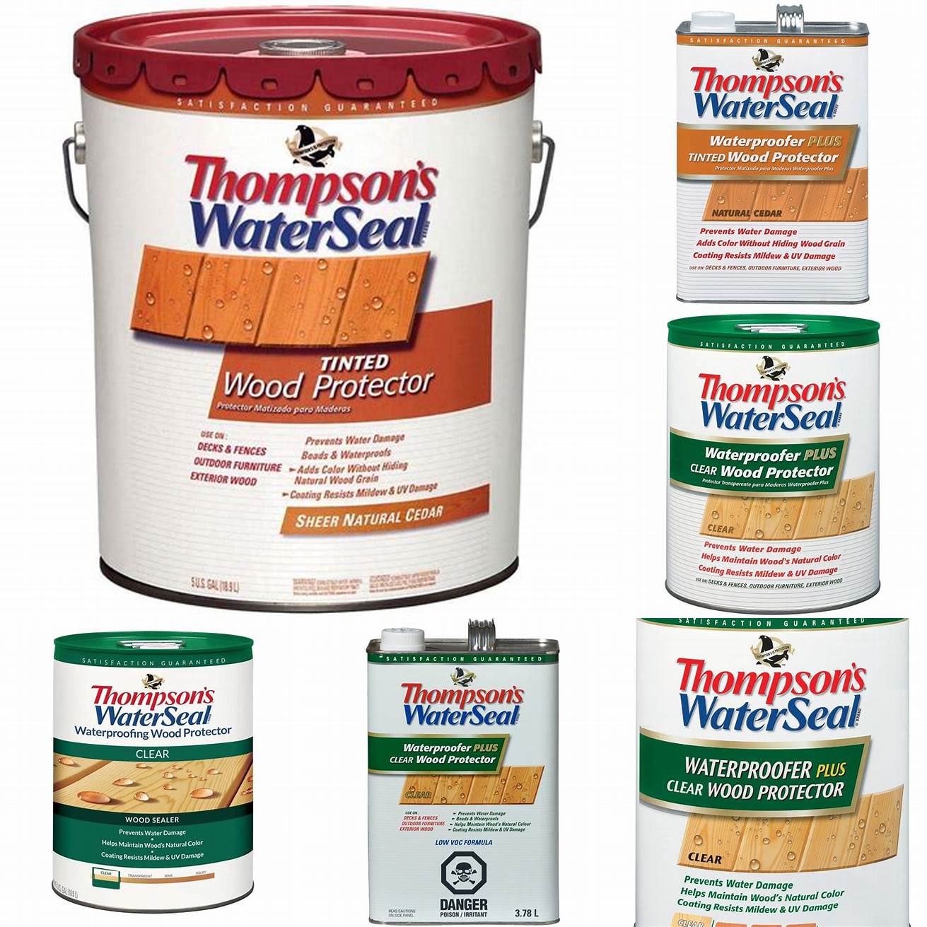 Thompsons WaterSeal Natural Wood Protector
