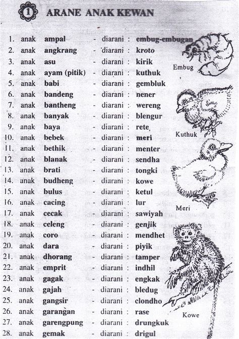Tidak Paham Konsep Bahasa Jawa