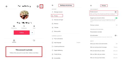 TikTok Privacy Settings