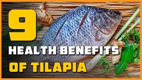 Tilapia Fish Benefits
