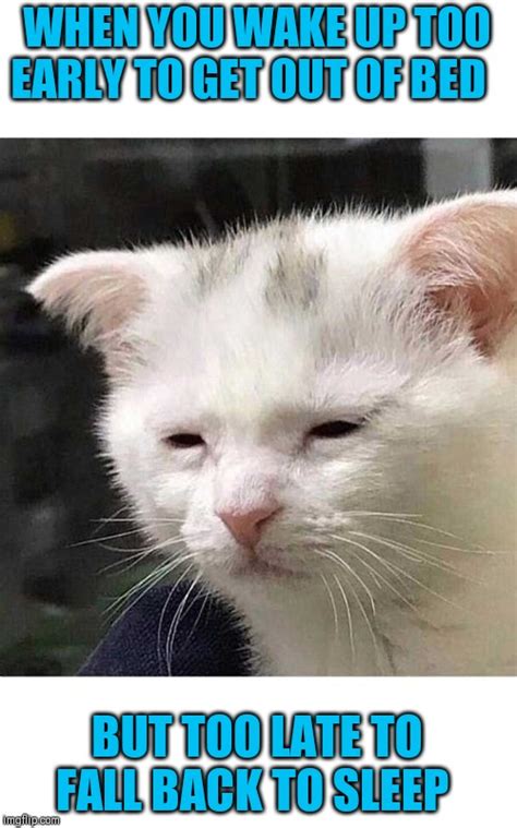 Tired Meme Template