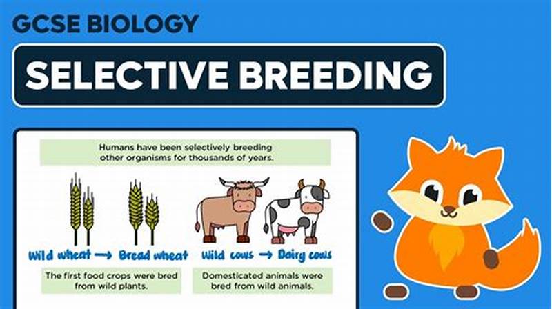To Develop A Selective Search Pattern