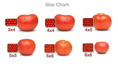 Tomato Sizing Chart