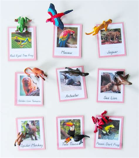 Toob Printables