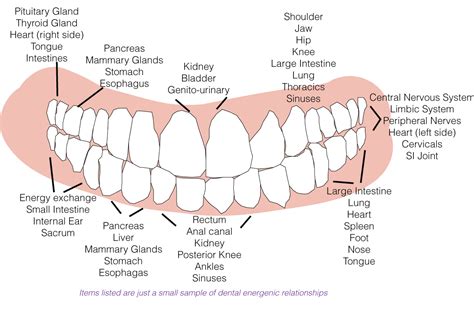 Tooth Chart With Surfaces