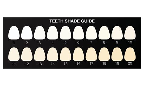 Tooth Colour Chart