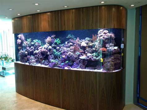 Top-Heavy Aquarium