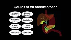 Treatments for Fat Malabsorption