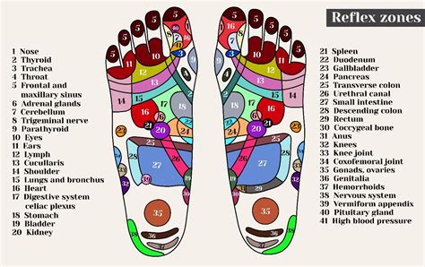 Trigger Points Foot Chart