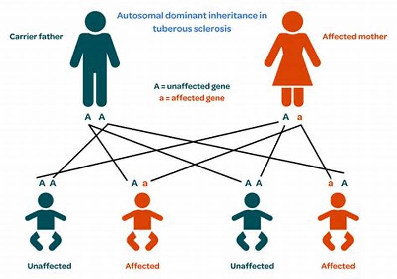 Tuberous Sclerosis Inheritance Pattern