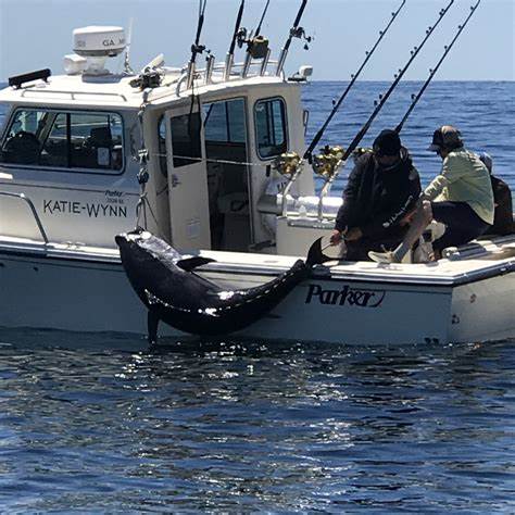 Price of Tuna Fishing Boat