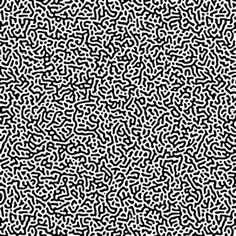 Turing Pattern Generator