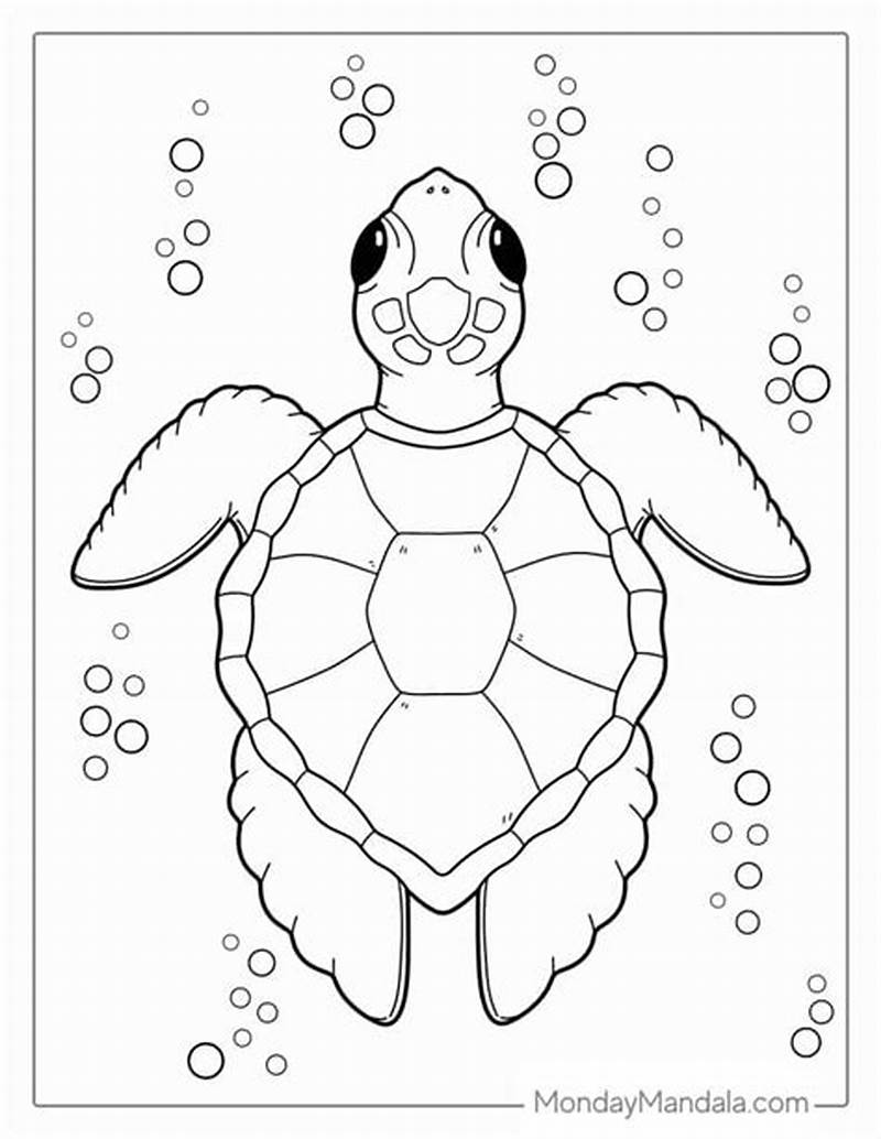 Turtle Shell Coloring Page