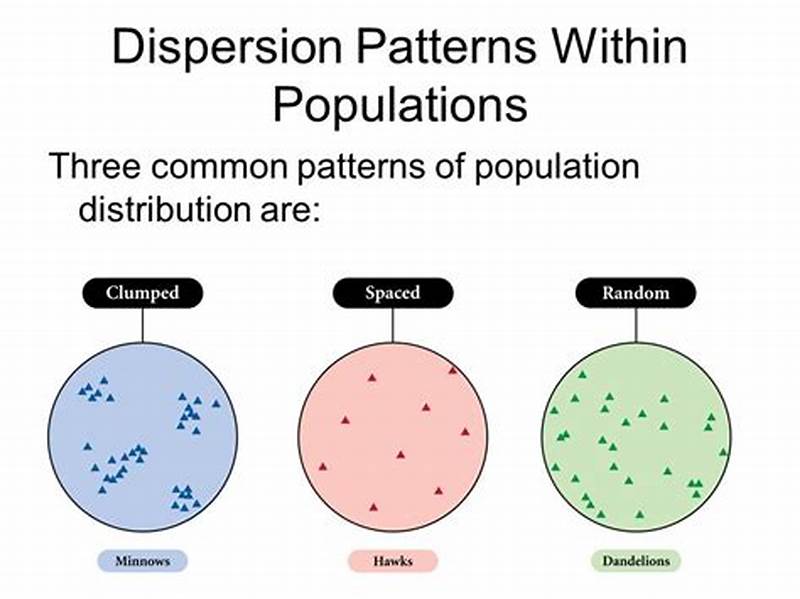 Type Of Population Density Pattern In Science