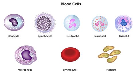 Types Blood