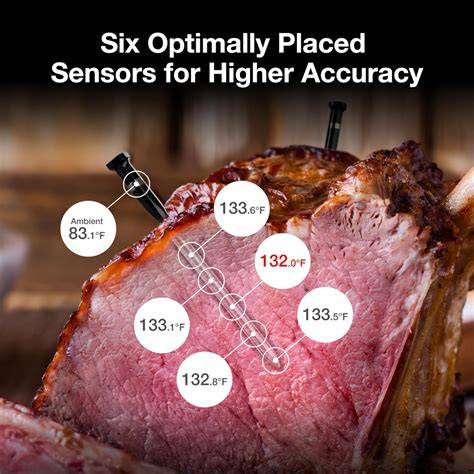 Understanding Oven Temperature Probes and Accuracy