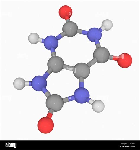 Acid Molecule