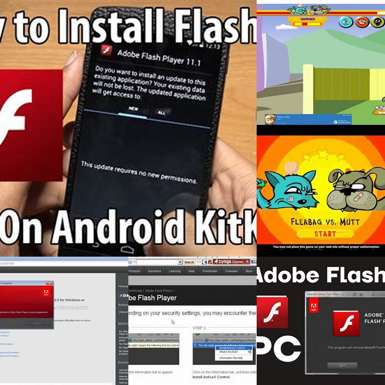 Use a Flash Player