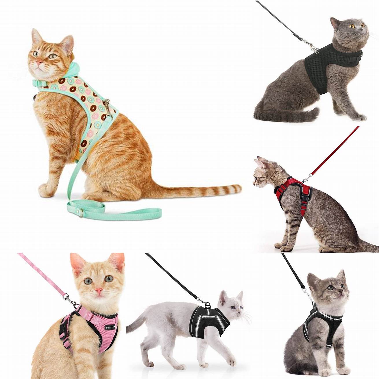 Use cat harnesses and leashes