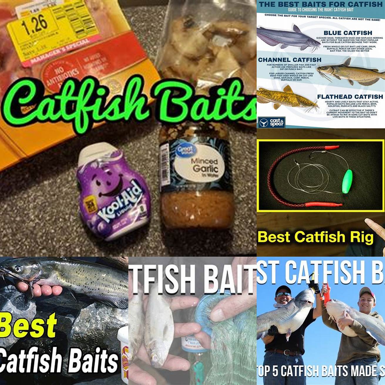 Use different baits