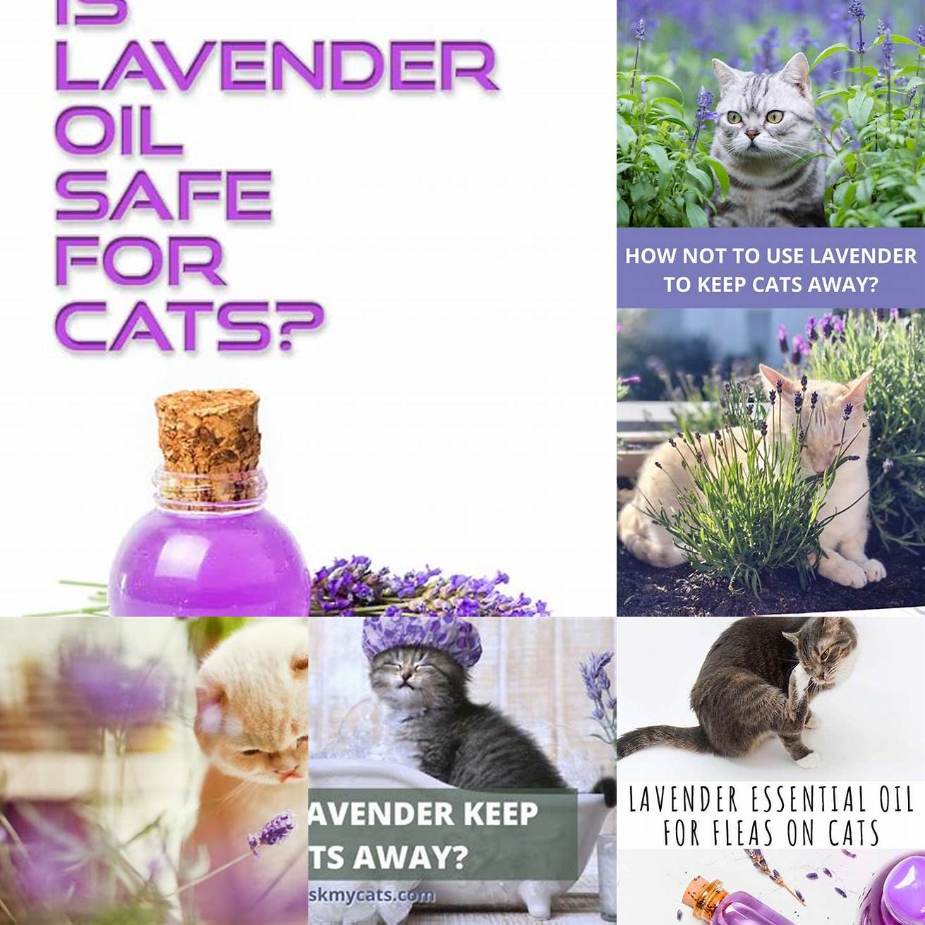 Use lavender in moderation