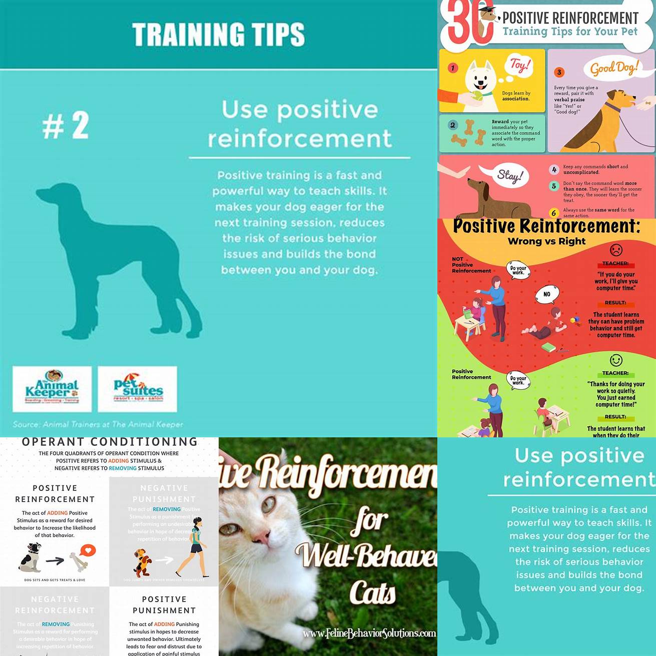 Use positive reinforcement training to encourage good behavior and discourage aggression Reward your cats for calm non-aggressive behavior towards each other