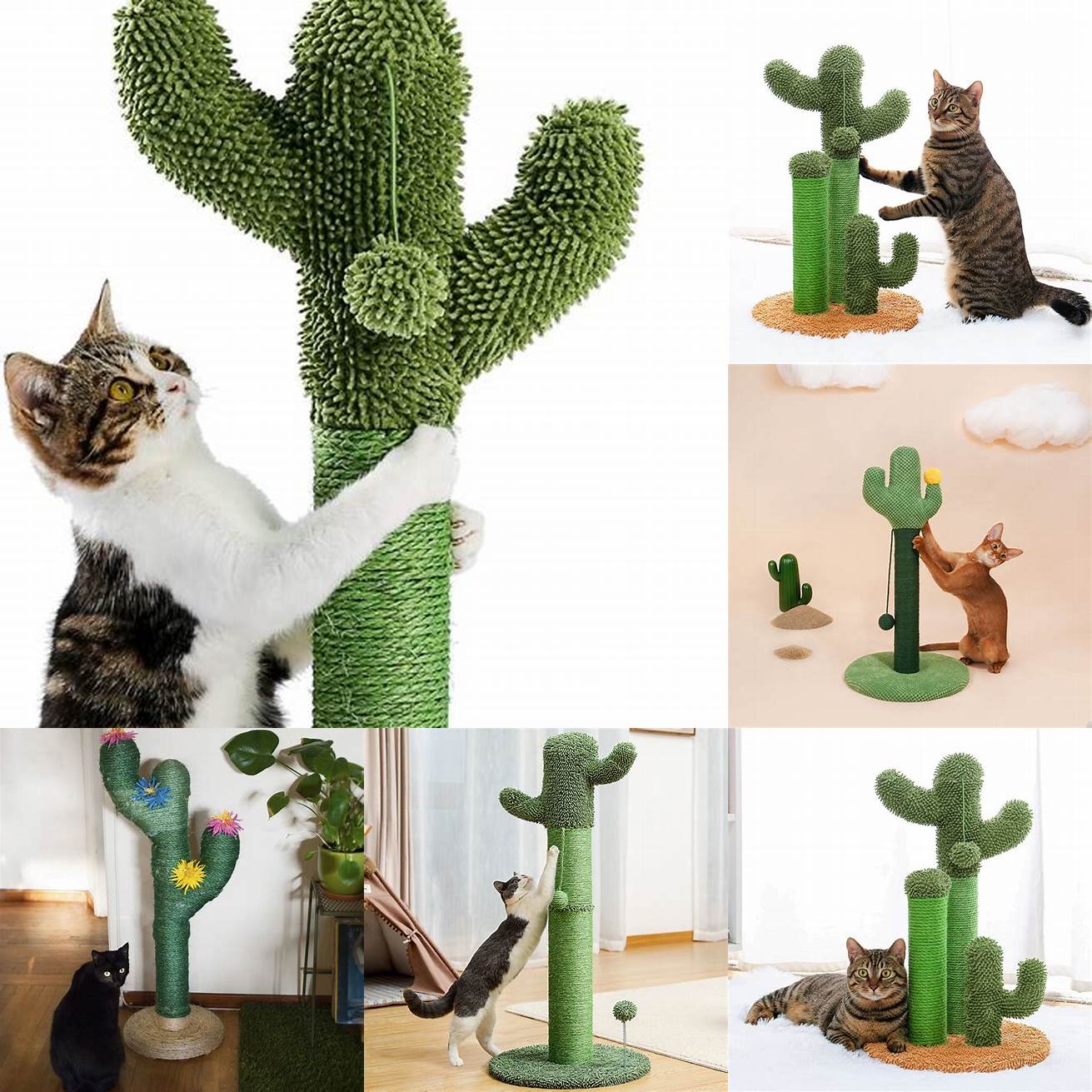 Use the Cactus Cat Scratching Post as a photo prop for some adorable Instagram-worthy shots of your cat