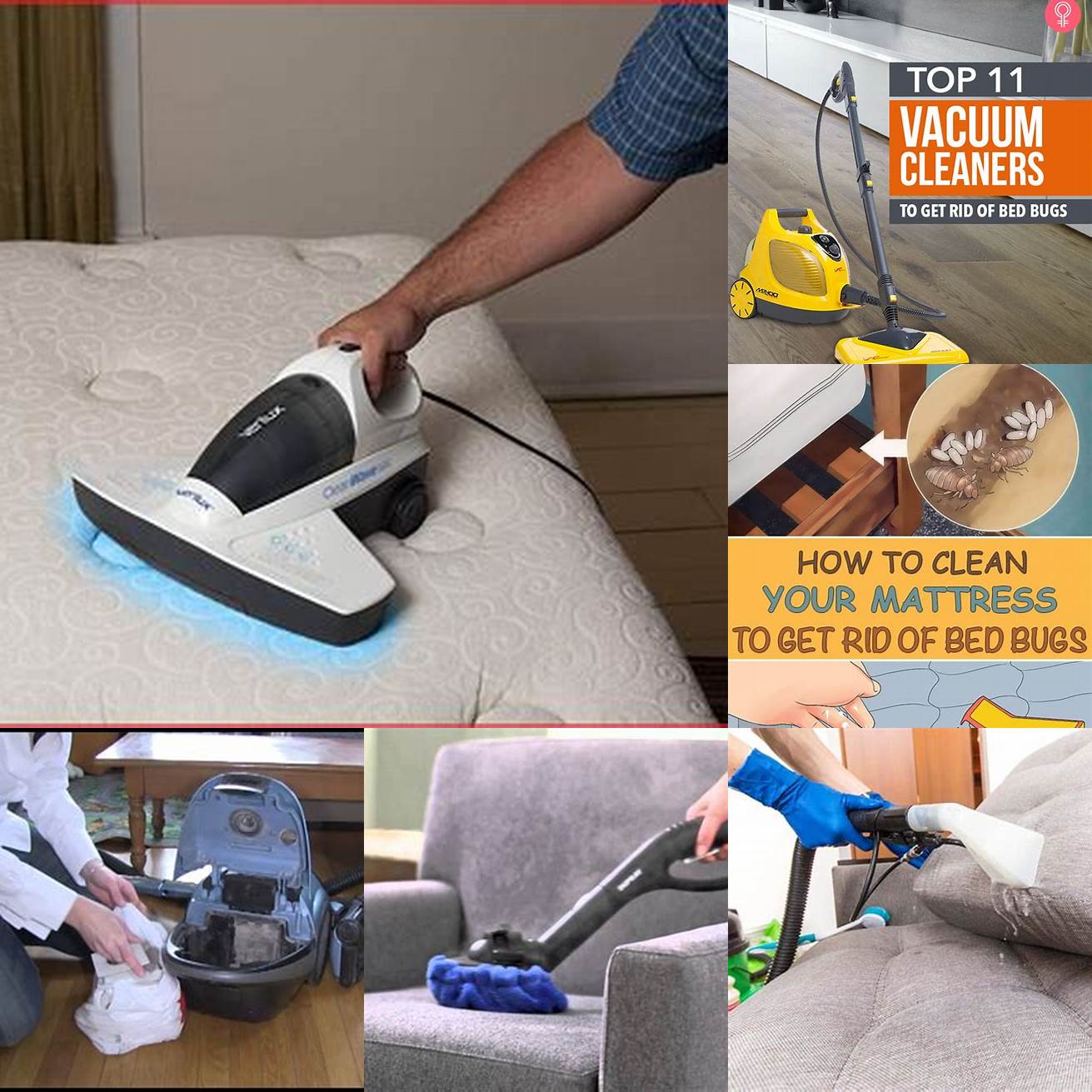 Using a Vacuum Cleaner to Remove Bugs