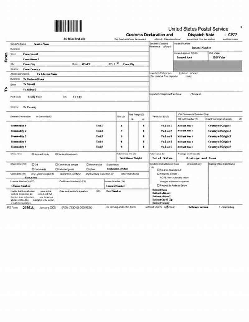 Usps Customs Form Example
