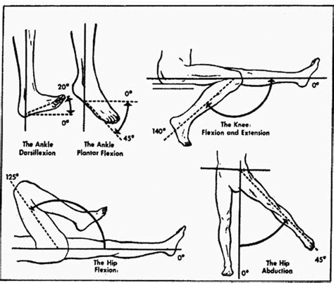 Va Hip Range Of Motion Chart