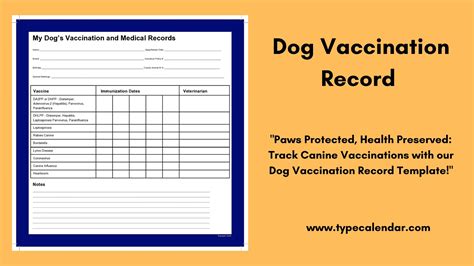 Vaccination Record Template