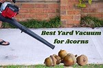 Vacuum to Pick Up Acorns