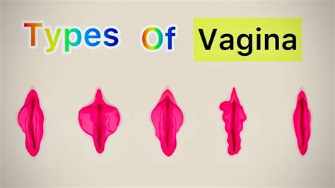 Vagaina Chart