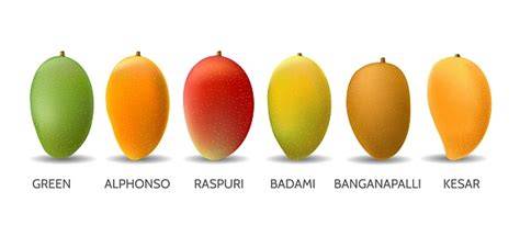 Mangga