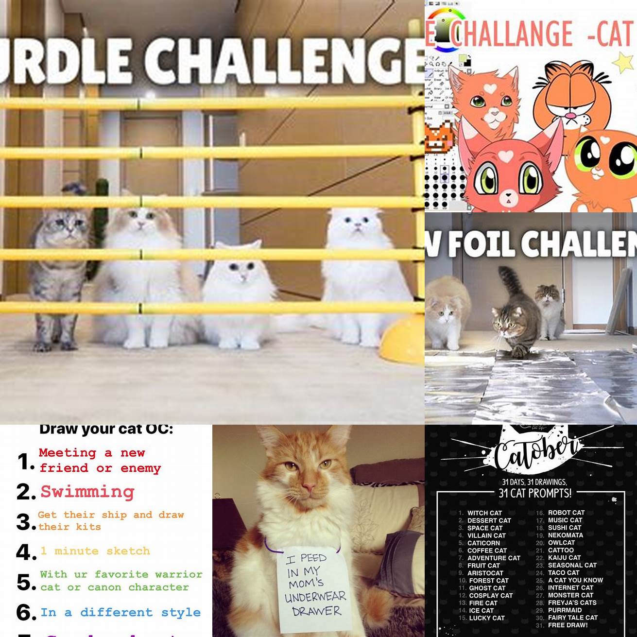 Varied Challenges