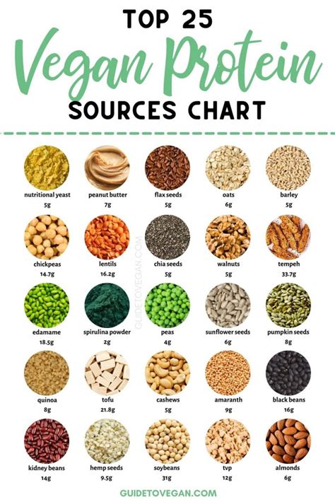 Vegan Food Protein Chart