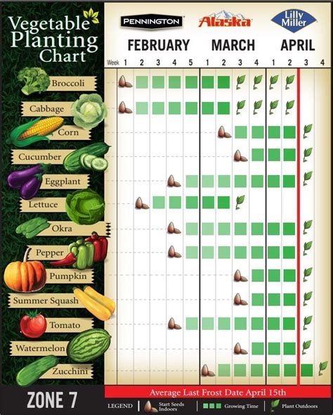 Vegetable Planting Guide Chart
