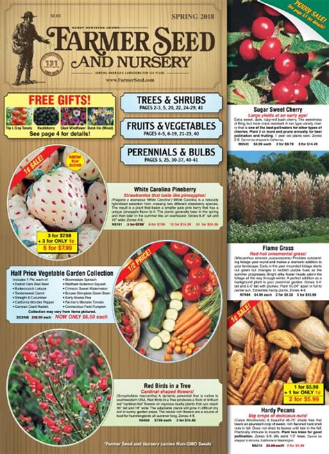 Vegetable Seed Catalogues