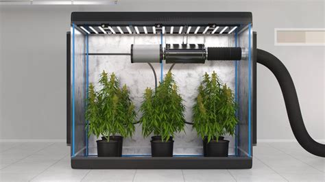 Ventilation system for indoor grow room