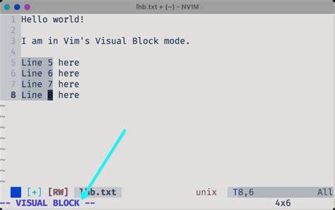 Vim How to insert in visual block mode