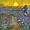 Vincent Van Gogh the Sower