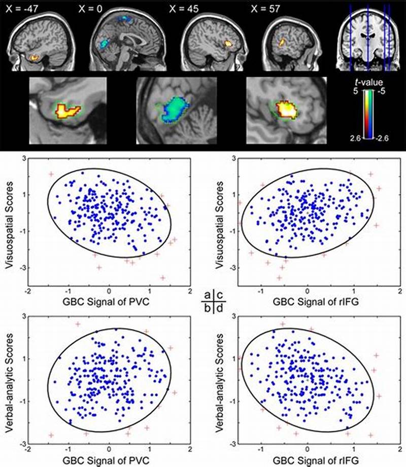 Visuospatial Pattern Reasoning