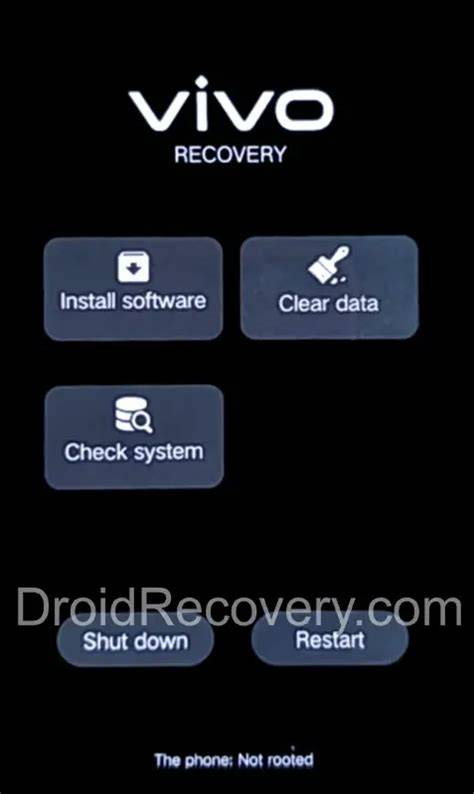 Vivo Recovery