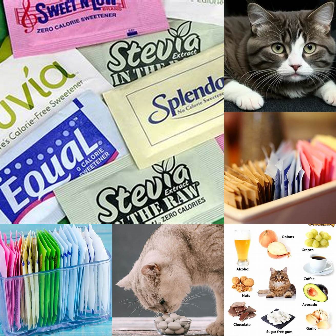 Waffles often contain artificial sweeteners which can be toxic to cats