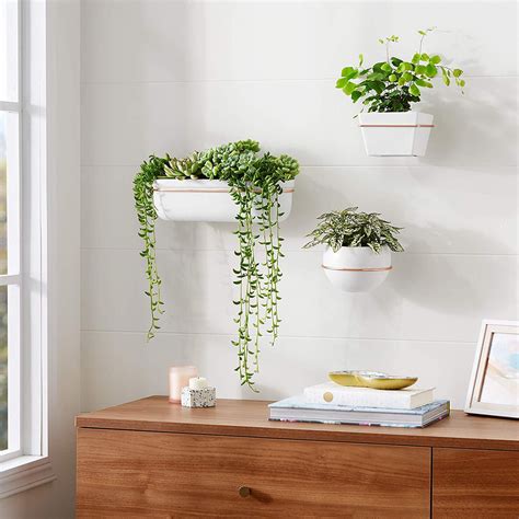 Wall-mounted Planters Minimalist Praying Room Ideas