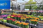 Walmart Plants Garden Center