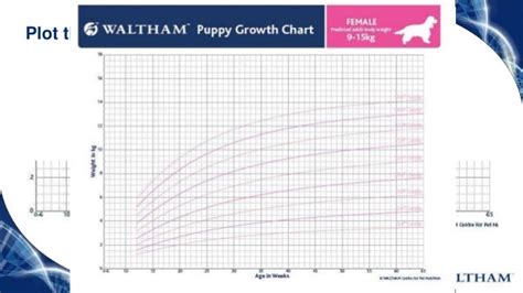 Waltham Puppy Growth Chart