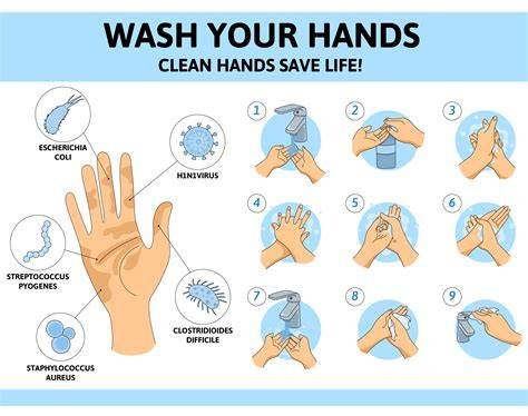 Wash Your Hands