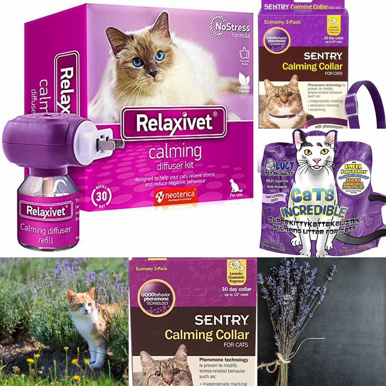 Watch your cats behavior around lavender products
