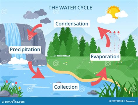 Water Cycle
